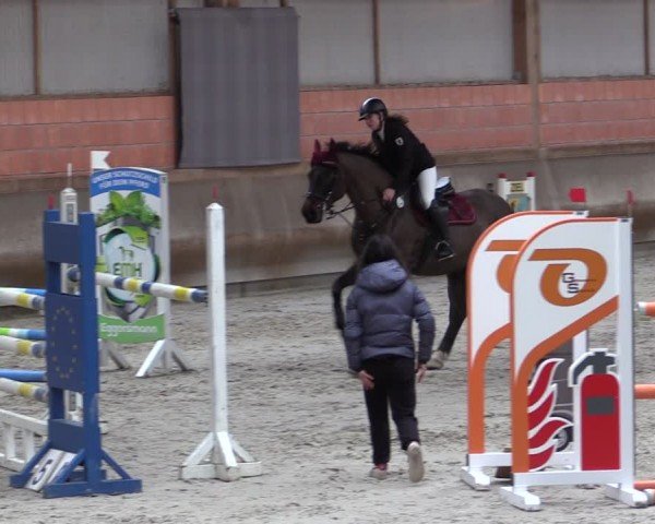 Reitturnier Tremsdorf, Eichenhof 2024