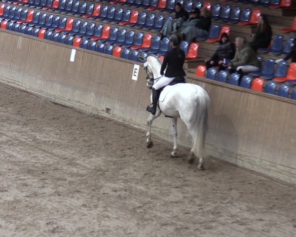 Reitturnier Krumke 2024
