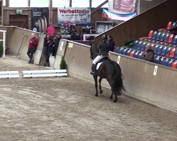 Reitturnier Krumke 2024