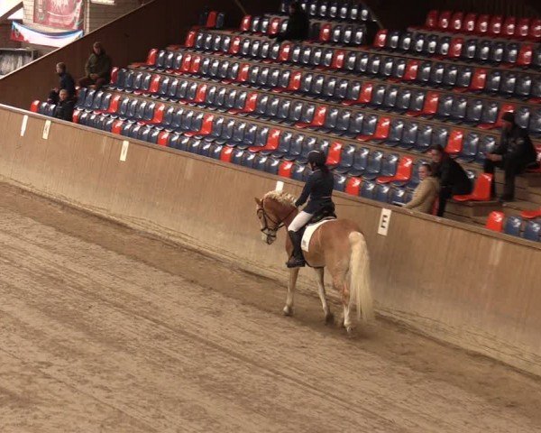 Reitturnier Krumke 2024
