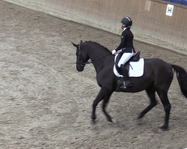 Reitturnier Krumke 2024