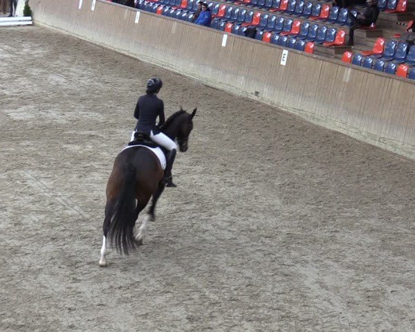 Reitturnier Krumke 2024