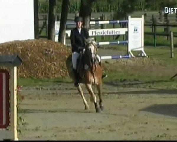 Waltrop 2011