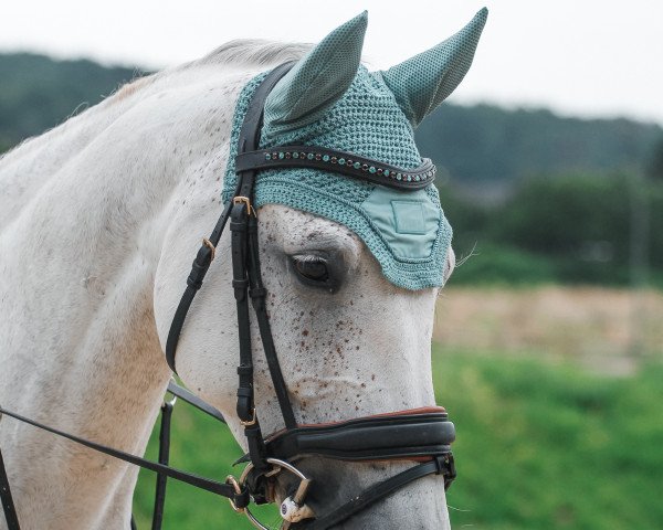 horse Cathana White (Westphalian, 2012, from Cathanos)