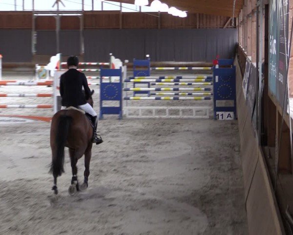 Reitturnier Tremsdorf, Eichenhof 2024
