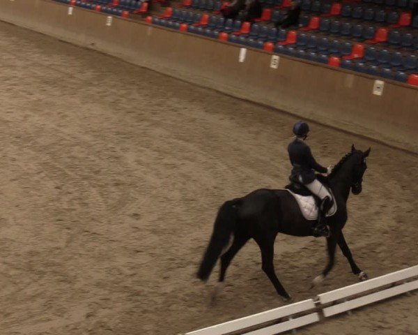 Reitturnier Krumke 2024
