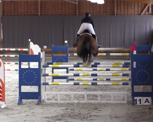 Reitturnier Tremsdorf, Eichenhof 2024