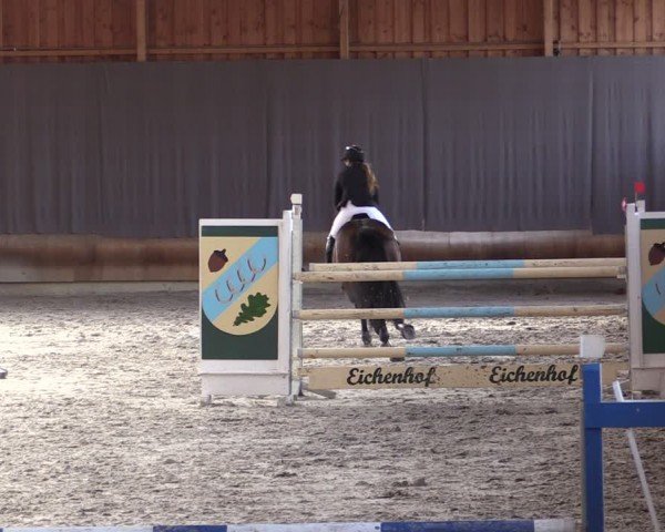 Reitturnier Tremsdorf, Eichenhof 2024