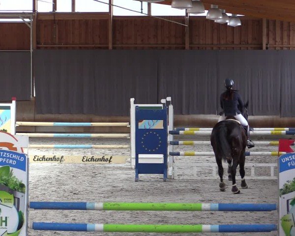 Reitturnier Tremsdorf, Eichenhof 2024
