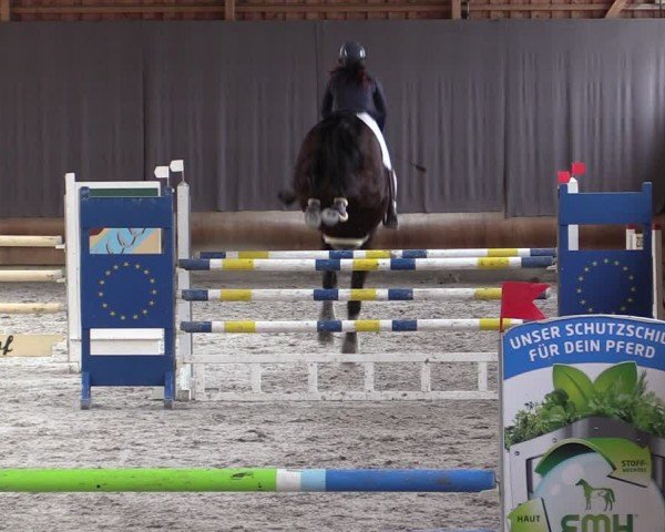 Reitturnier Tremsdorf, Eichenhof 2024
