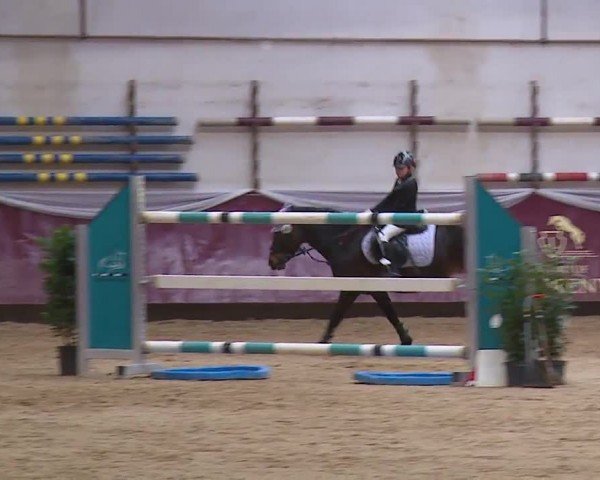Reitturnier Eicherloh RH Laurent/Obb. 2024