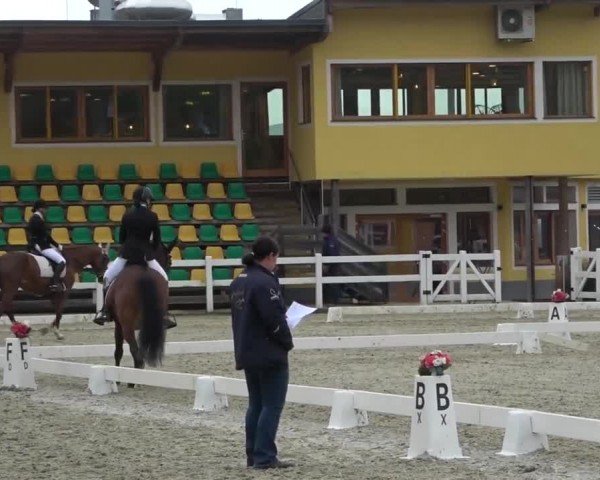 Reitturnier St. Margarethen 2024