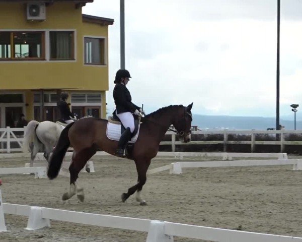 Reitturnier St. Margarethen 2024