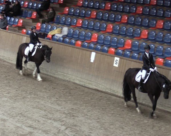 Reitturnier Krumke 2024