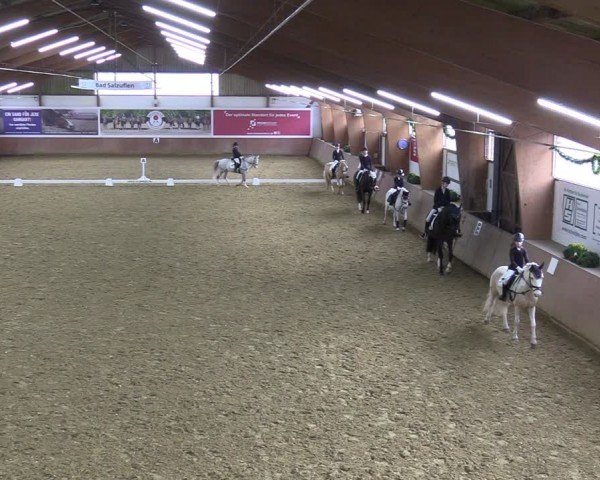 Reitturnier Bad Salzuflen 2024