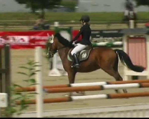 Waltrop 2011