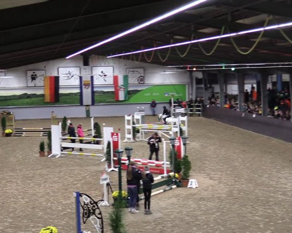 23. Legdener Ponymeeting 2021