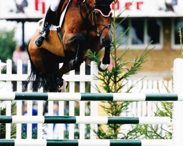 jumper Goldika (Holsteiner, 1992, from Cor de la Bryère)