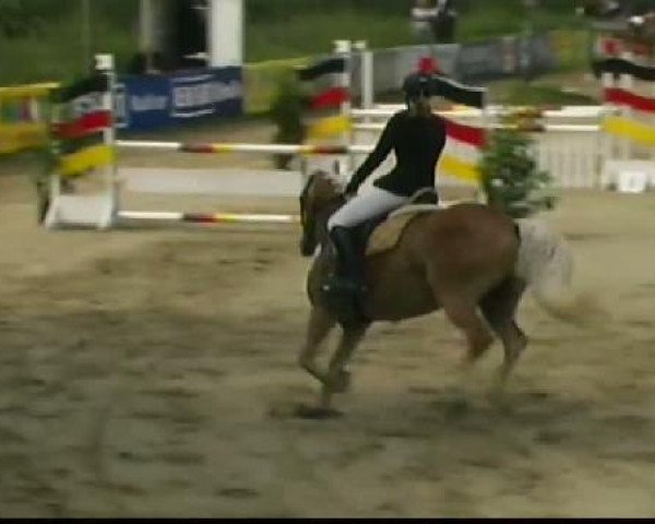 Waltrop 2011