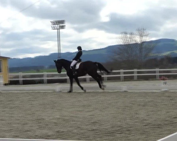 Reitturnier St. Margarethen 2024