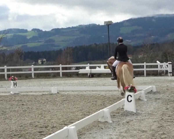 Reitturnier St. Margarethen 2024
