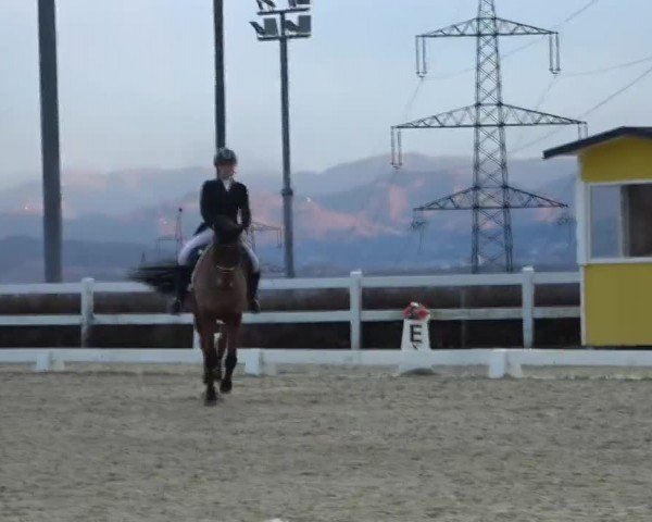 Reitturnier St. Margarethen 2024