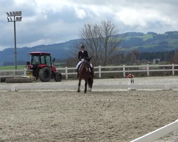 Reitturnier St. Margarethen 2024