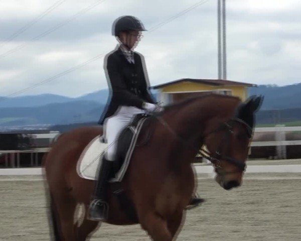 Reitturnier St. Margarethen 2024