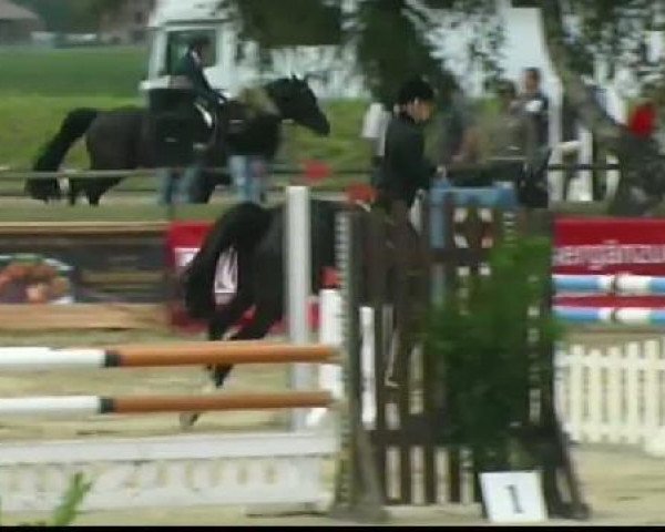 Waltrop 2011