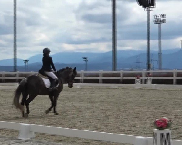 Reitturnier St. Margarethen 2024