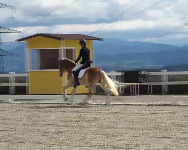 Reitturnier St. Margarethen 2024