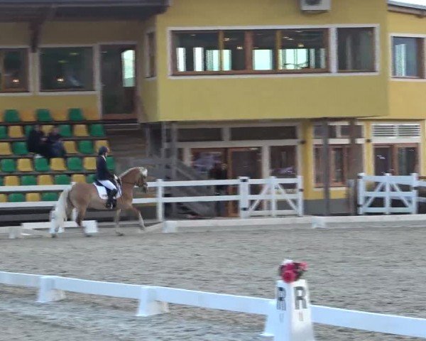 Reitturnier St. Margarethen 2024