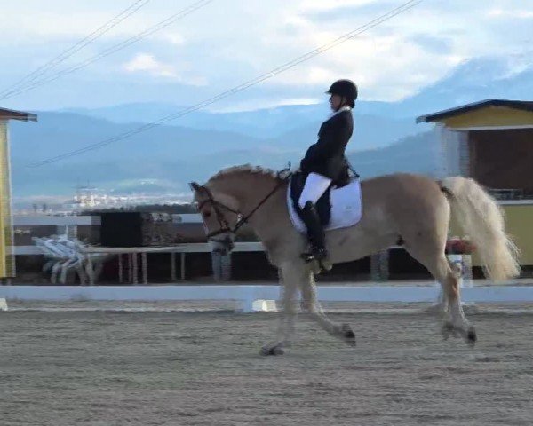 Reitturnier St. Margarethen 2024