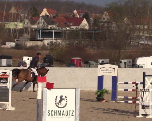 Reitturnier Zwickau 2024