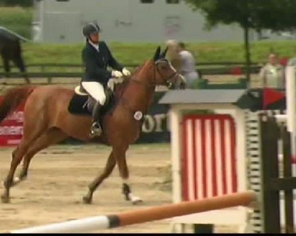 Waltrop 2011