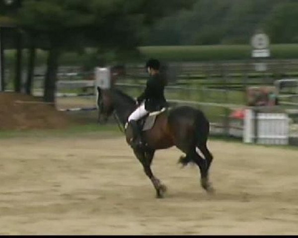 Waltrop 2011