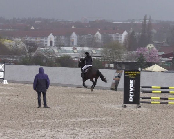 Reitturnier Zwickau 2024