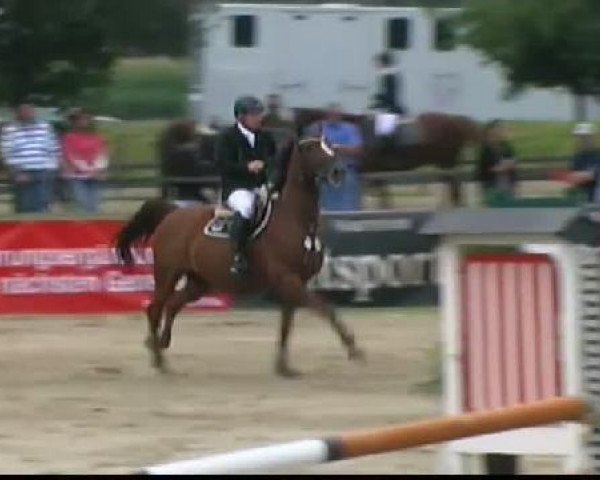 Reitturnier Waltrop 2011