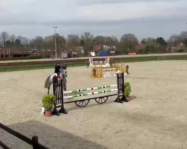 Reitturnier Elmshorn 2024