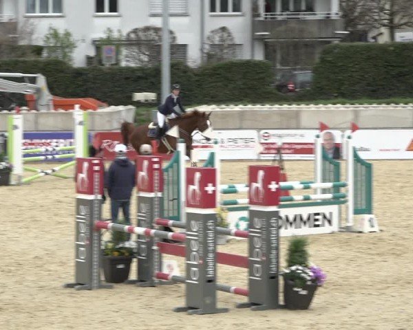 Reitturnier Amriswil 2024
