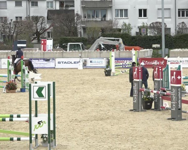 Reitturnier Amriswil 2024