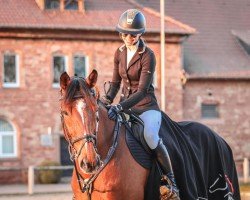 jumper Laderas Flandria (Belgian Warmblood, 2011, from Flamenco Desemilly)