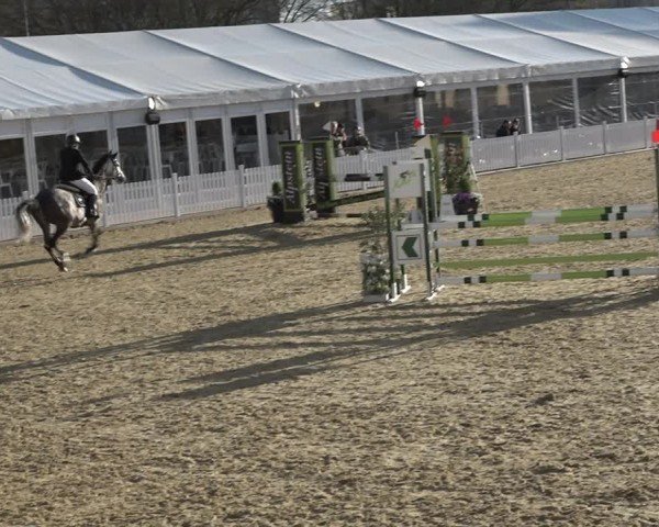 Reitturnier Amriswil 2024