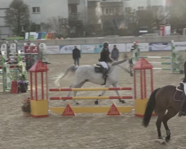 Reitturnier Amriswil 2024
