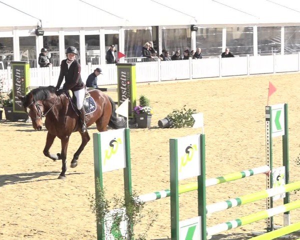 Reitturnier Amriswil 2024