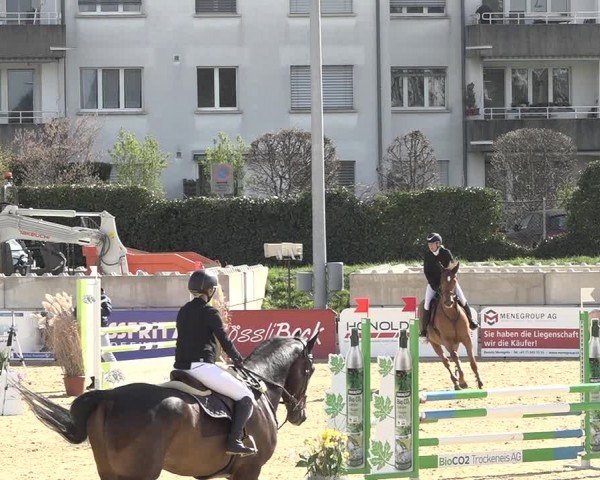 Reitturnier Amriswil 2024