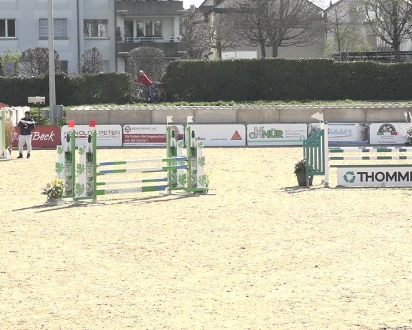Reitturnier Amriswil 2024