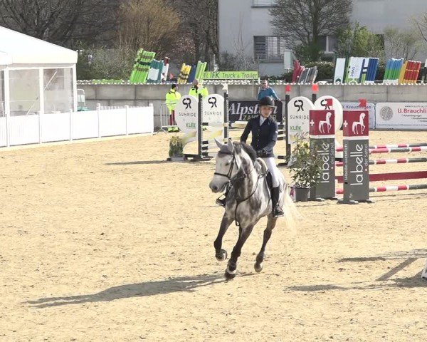 Reitturnier Amriswil 2024