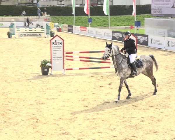 Reitturnier Amriswil 2024