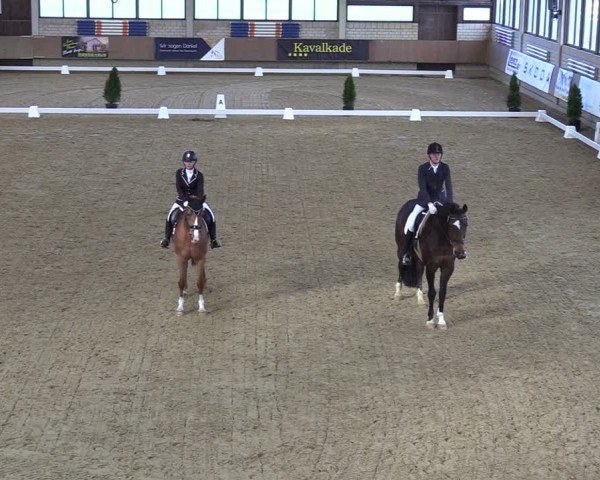 Reitturnier Oelde 2024